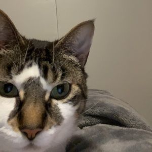 Meet your Posher, Holly